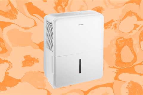 Breathe simple with this marked down Insignia dehumidifier from Best Buy