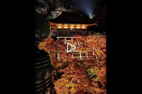 Kyoto autumn illumination - Kiyomizu-dera