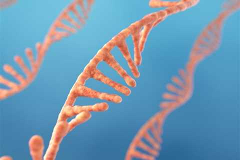Synthetic RNA Can Build Peptides, Hinting at Life’s Beginnings