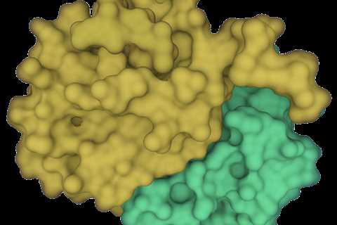 Infographic: Short Protein Motifs Role in SARS-CoV-2 Infection