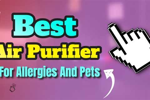 Best Air Purifier Best Air Purifier For Allergies And Pets Honest Video