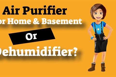 Dehumidifier for Home Reviews - Air Purifier and Dehumidifier, Which is Better to Use?