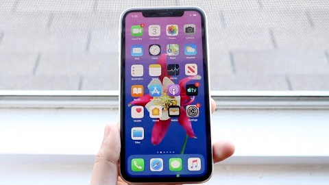 All iPhone 11 Users Need To Know This