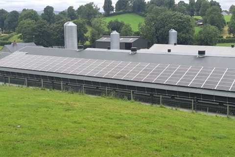 Solar energy generation: 3 benefits for Ireland’s ag industry