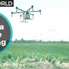 Farmers embrace drone technology to boost production