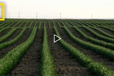 Drones and the Future of Farming | National Geographic