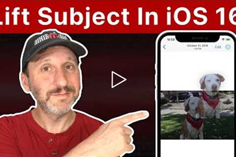 Lift the Subject From the Background Of a Photo In iOS 16