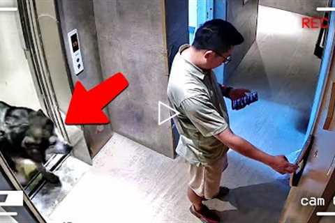 60 Incredible Moments Caught on CCTV Camera