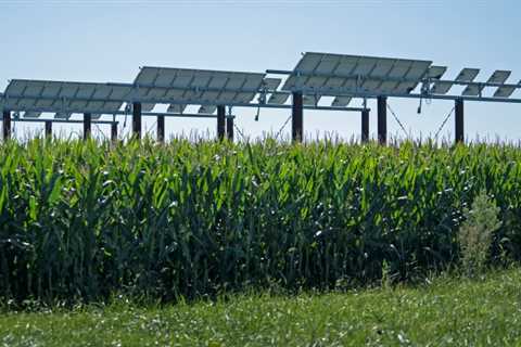 Research seeks ways to grow solar and crops together in the skeptical Corn Belt