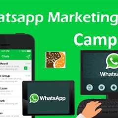 The 3-Minute Rule for WhatsApp marketing: A beginner's guide 