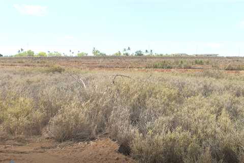 Developers break ground on new Oahu solar farm that will collect energy, but also store it