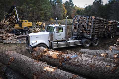 While home-heating fuel prices surge, demand for firewood causes new challenges￼