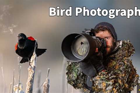 BIRD PHOTOGRAPHY | SHARP photos | PRO tips using the BEST camera settings for wildlife | Nikon Z9