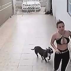 30 INCREDIBLE MOMENTS CAUGHT ON CCTV & SECURITY CAMERAS