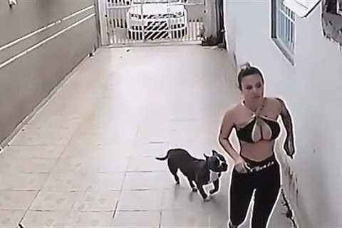 30 INCREDIBLE MOMENTS CAUGHT ON CCTV & SECURITY CAMERAS