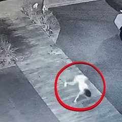 Incredible Things Caught on CCTV