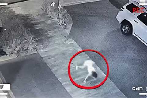 Incredible Things Caught on CCTV