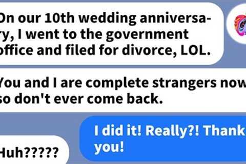 【Apple】My husband divorced me on our 10th anniversary. He didn''t expect me to be so happy though!