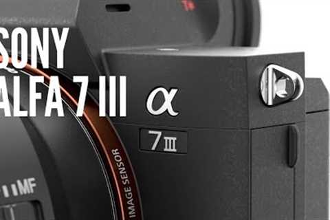 Sony a7 III Review: A Game-Changing Mirrorless Camera for Photography and Videograph