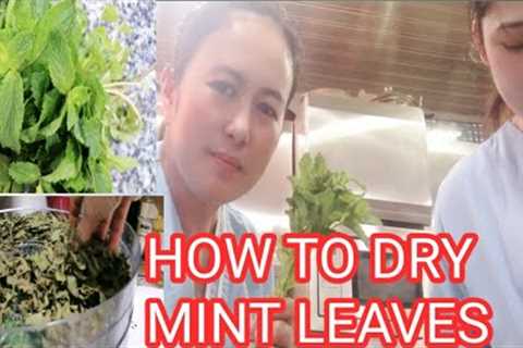 HOW TO DRY MINT LEAVES VERY FAST AND EASY||Ann Pabillar vlogs