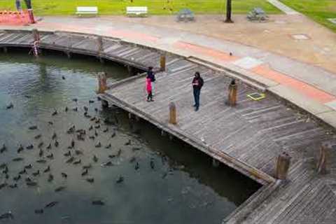 Sydney based photographer/videographer. Aerial photography