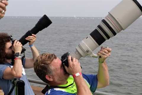 Sigma 150-600 Contemporary Real World Review: The BEST Wildlife / Sports lens for under $1,000?