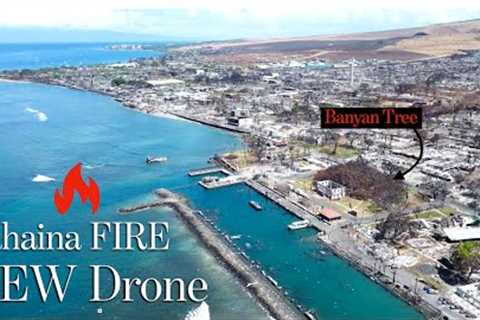 LAHAINA Fire - NEW Drone of BURN-ZONE - Sept 17th, 2023