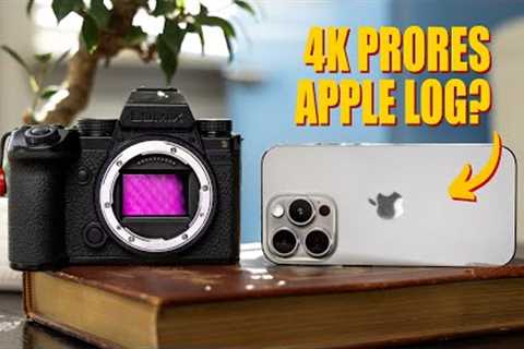 iPhone 15 Pro vs Professional Camera | Surprisingly Close