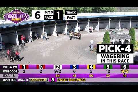 10/4/2023 Finger Lakes Racetrack (up to 10 second delay)