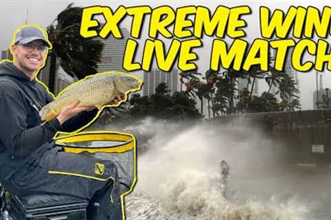 Pole Fishing In EXTREME Wind! | Live Match Fishing