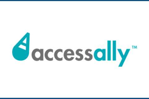 AccessAlly Review