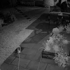 Reolink Captures: Ghost Caught on Security Camera