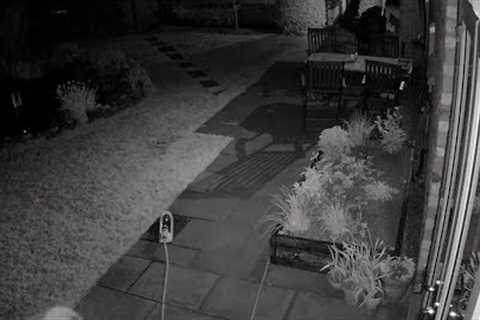Reolink Captures: Ghost Caught on Security Camera