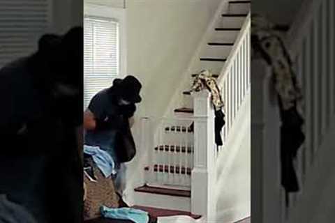 Disturbing exclusive video shows serial burglar inside Queens home