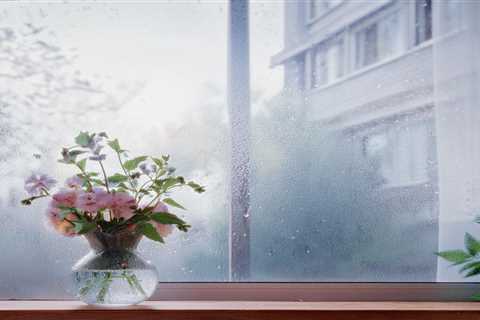 Understanding Condensation: Causes, Effects, and Solutions