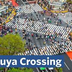 Why is Shibuya Crossing the Busiest in the World?