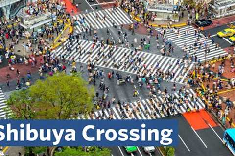 Why is Shibuya Crossing the Busiest in the World?