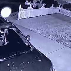 Orbs caught on my security cameras