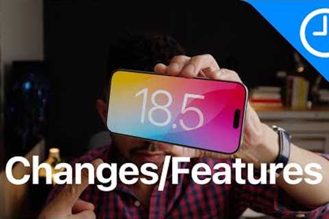 iOS 18.5 Beta 1 - Everything New!