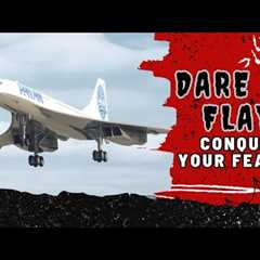 Curious About High-Flying Thrills? Live Airplane Stream Inside! - 029