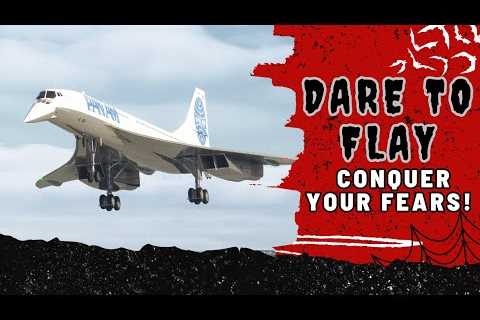 Curious About High-Flying Thrills? Live Airplane Stream Inside! - 029