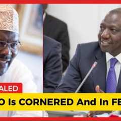 Lawyer Miguna Miguna BADLY DESTROYS Ruto, Blasts Murkomen Reckless Order, Wants Gen Z Do This!
