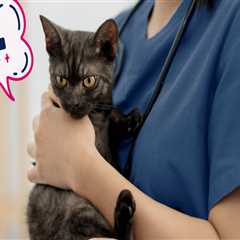 Bringing a Companion to Your Medical Test Appointment in Clark County, Washington
