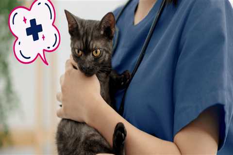 Bringing a Companion to Your Medical Test Appointment in Clark County, Washington