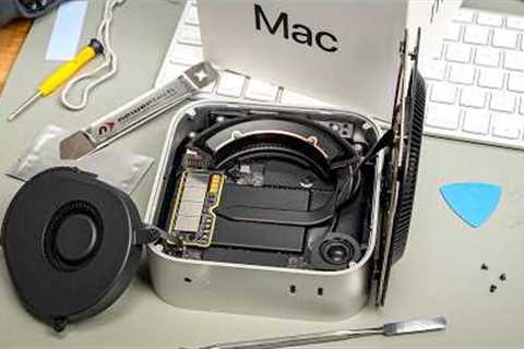 There are three types of Mac users