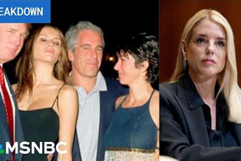 ‘Stinks of a coverup’: Trump admin reels, now begging Joe Rogan for help easing uproar over Epstein