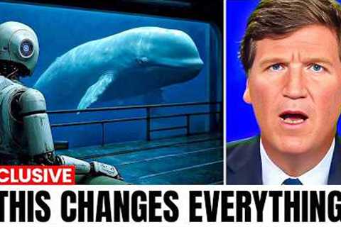 Scientists Just Decoded Language of the Whales Using AI... And It''s Not What You Think