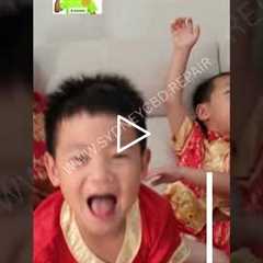 5 Ways to Feast During Sydney Lunar Festival | Sydney CBD Repair Centre