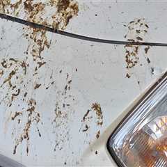 Essential Steps to Safeguard Your Car's Paint from Bird Droppings